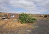 Non-developable land for sale on España, Tahíche, ref: TR311870 photo