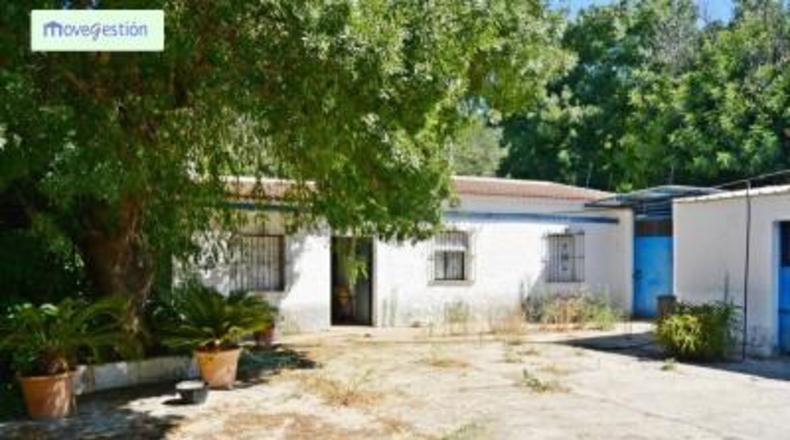Cádiz - Benaocaz - 100000m2
