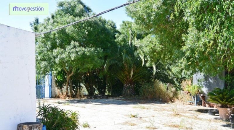 Cádiz - Benaocaz - 100000m2