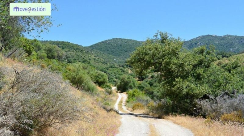 Cádiz - Benaocaz - 100000m2