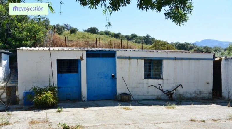 Cádiz - Benaocaz - 100000m2