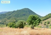 Casa de camp amb terreny en venda a la España, Benaocaz, ref.: TR134292 foto