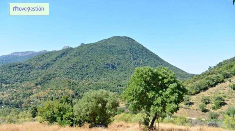 Cádiz - Benaocaz - 100000m2