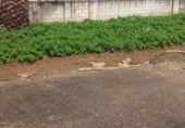Sòl urbà en venda a la España, Badajoz, ref.: TR114397 foto