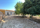 Casa de camp amb terreny en venda a la España, Elx, ref.: TR140121 foto