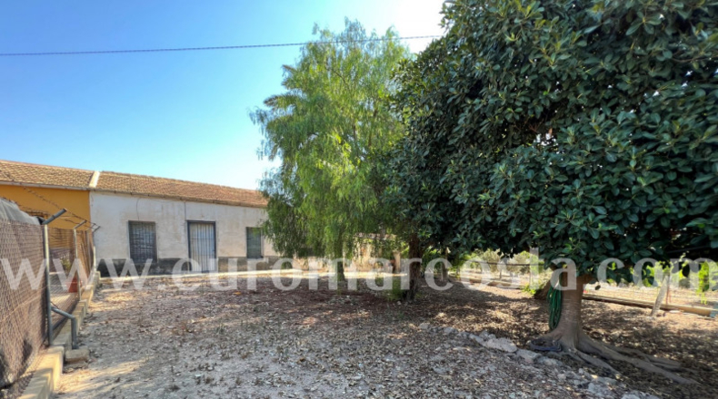 Alicante - Elche - 1750m2
