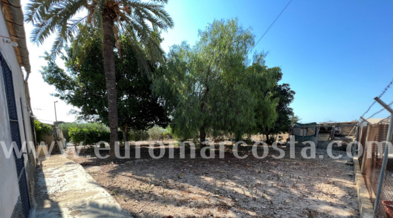 Alicante - Elche - 1750m2