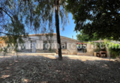 Casa de camp amb terreny en venda a la España, Elx, ref.: TR140121 foto