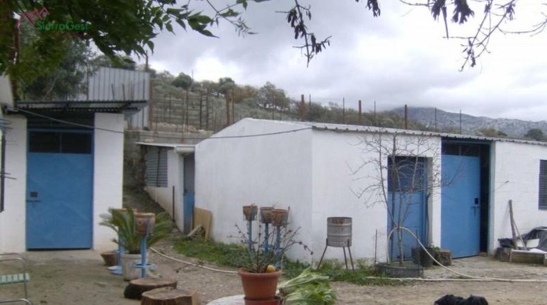 Cádiz - Benaocaz - 100000m2