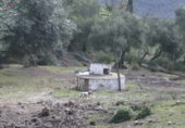 Casa con terreno en venta en la España, Benaocaz, ref: TR301266 foto