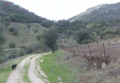 Casa con terreno en venta en la España, Benaocaz, ref: TR301266 foto