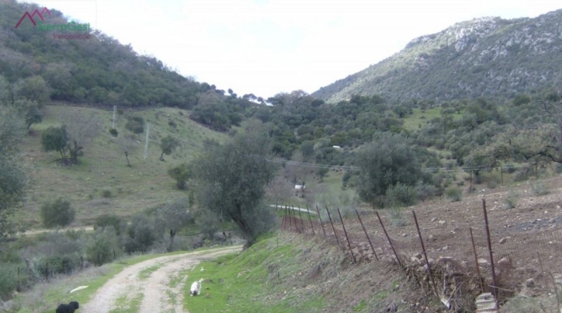 Cádiz - Benaocaz - 100000m2