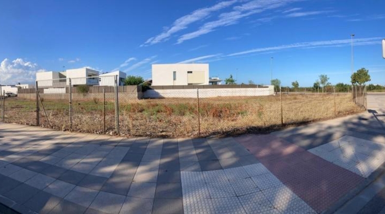 Castellón - Burriana - 800m2