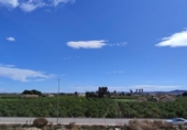Xalet independent amb terreny en venda a la España, Daia Nova, ref.: TR159665 foto