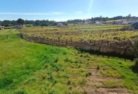 Sangenjo 3374&nbsp;m² 