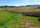 Xalet independent amb terreny en venda a la España, Sangenjo, ref.: TR139558 foto