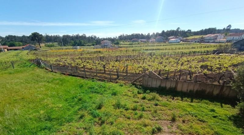 Pontevedra - Sanxenxo - 3374m2