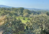 Finca rústica en venda a la España, Silleda, ref.: TR297459 foto