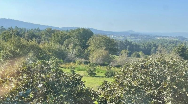 Pontevedra - Silleda - 6500m2
