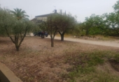 Xalet independent amb terreny en venda a la España, Petrer, ref.: TR163614 foto