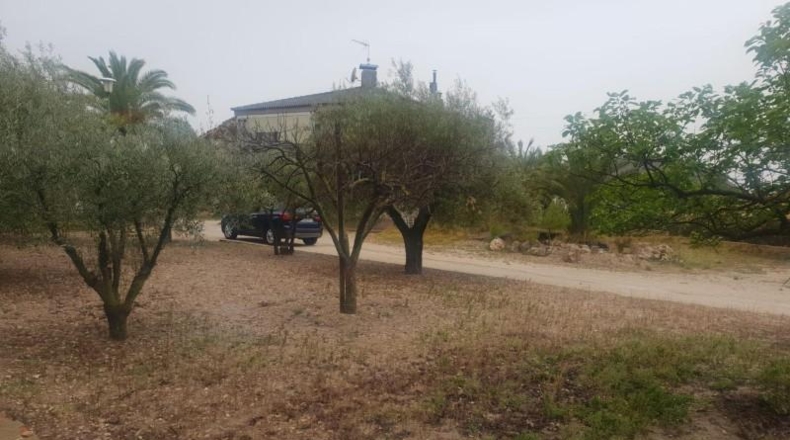 Alicante - Petrer - 4800m2