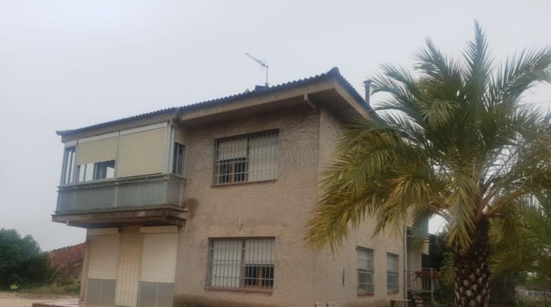 Alicante - Petrer - 4800m2