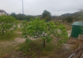 Xalet independent amb terreny en venda a la España, Petrer, ref.: TR163614 foto