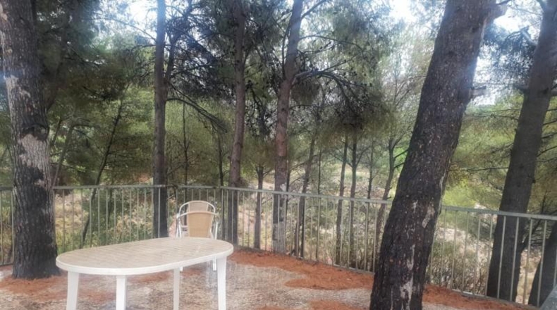 Alicante - Petrer - 4800m2