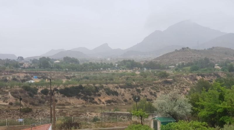 Alicante - Petrer - 4800m2