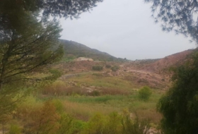 Foto 11