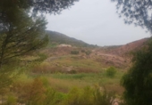 Xalet independent amb terreny en venda a la España, Petrer, ref.: TR163614 foto