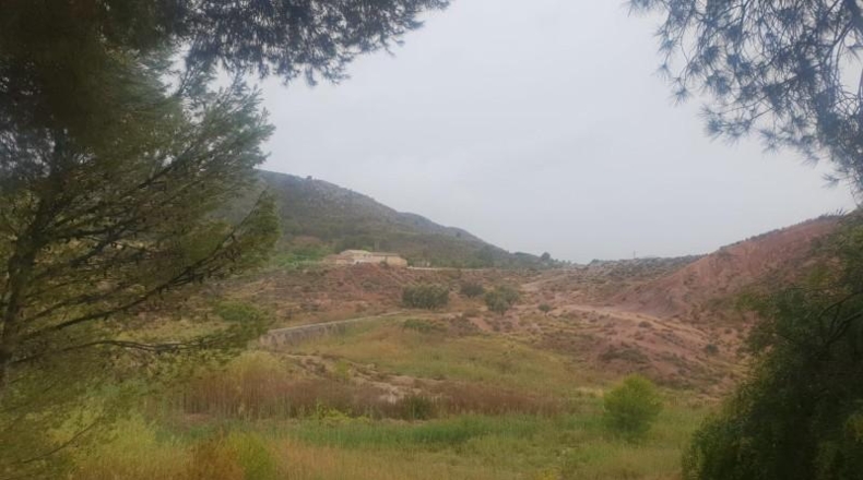 Alicante - Petrer - 4800m2