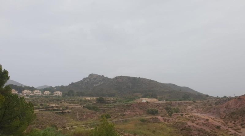 Alicante - Petrer - 4800m2