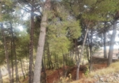 Xalet independent amb terreny en venda a la España, Petrer, ref.: TR163614 foto