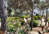 Casa de campo con terreno en venta en la España, Maçanet de la Selva, ref: TR157816 foto