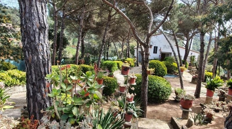 Gerona - Maçanet de la Selva - 1782m2