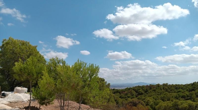 Murcia - Totana - 5000m2