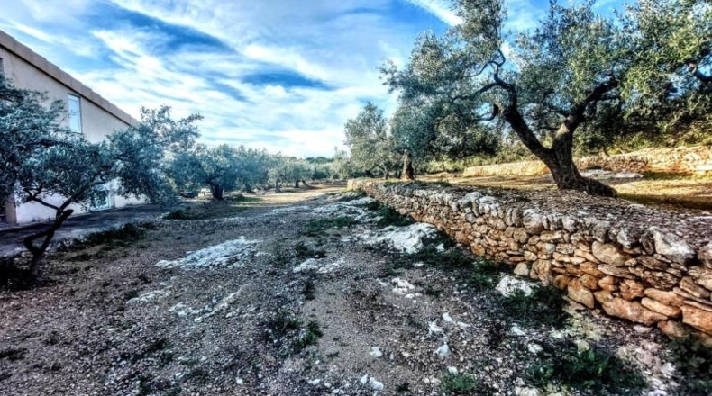 Tarragona - l'Ametlla de Mar - 8350m2