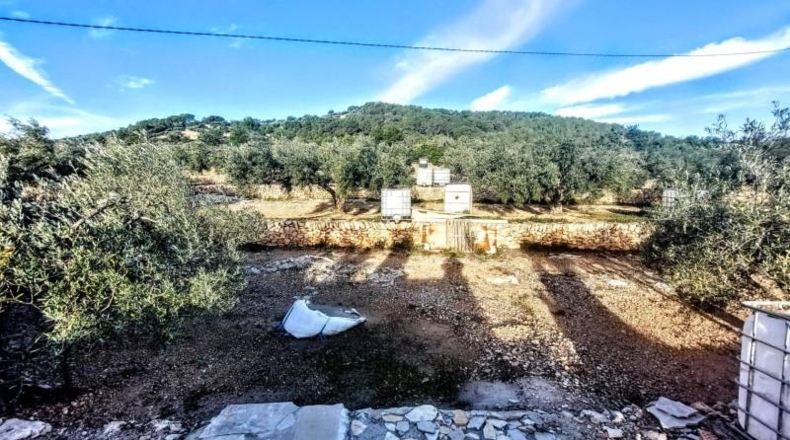 Tarragona - l'Ametlla de Mar - 8350m2