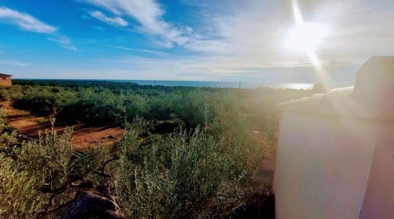 Tarragona - l'Ametlla de Mar - 8350m2
