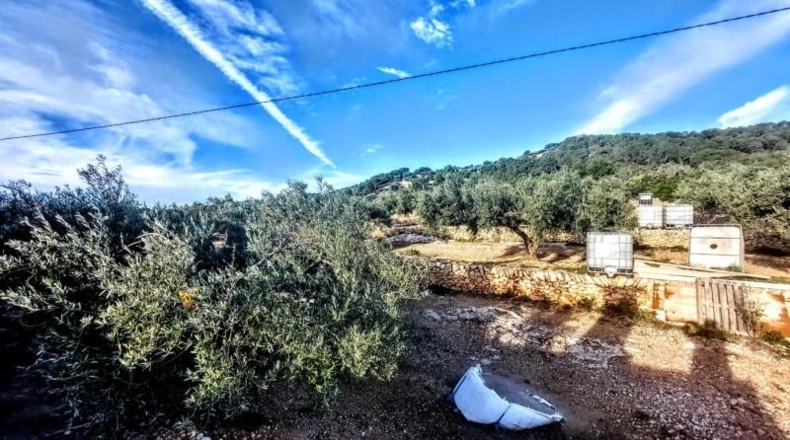 Tarragona - l'Ametlla de Mar - 8350m2