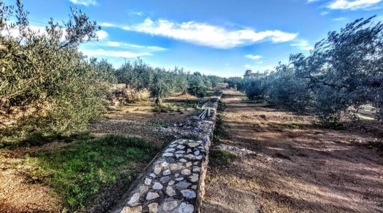 Tarragona - l'Ametlla de Mar - 8350m2
