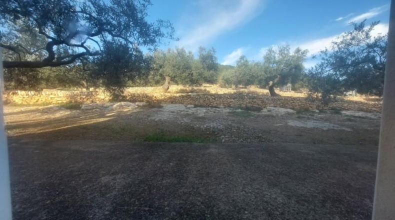 Tarragona - l'Ametlla de Mar - 8350m2