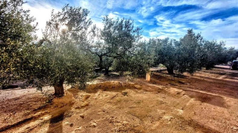 Tarragona - l'Ametlla de Mar - 8350m2
