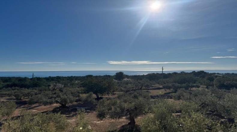 Tarragona - l'Ametlla de Mar - 8360m2