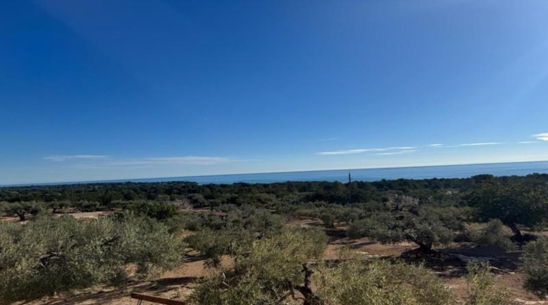 Tarragona - l'Ametlla de Mar - 8360m2