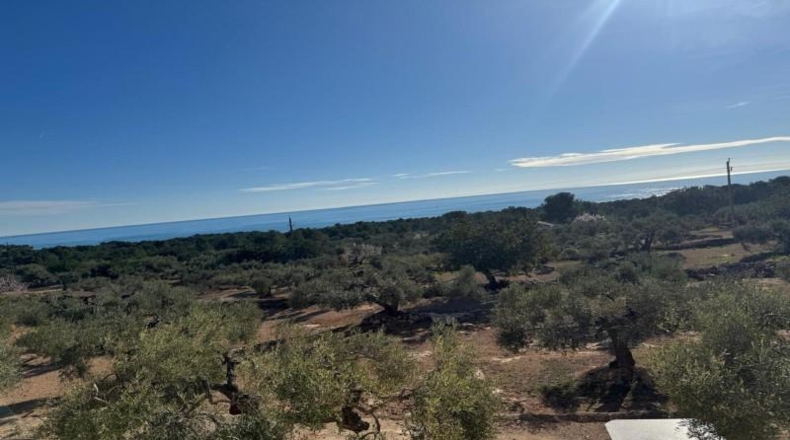 Tarragona - l'Ametlla de Mar - 8360m2