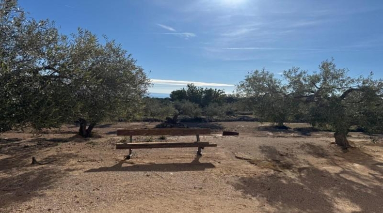 Tarragona - l'Ametlla de Mar - 8360m2