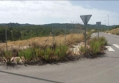 Sòl urbà en venda a la España, Múrcia, ref.: TR353903 foto