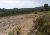 Sòl urbà en venda a la España, Múrcia, ref.: TR353903 foto